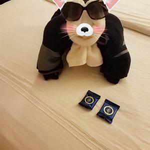 Meet your Posher, Erika